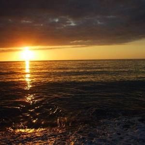 Meet your Posher, Bonise